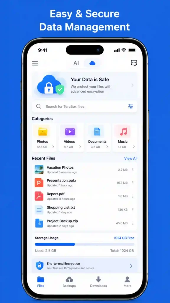 TeraBox secure data management system with encrypted cloud storage and file organization