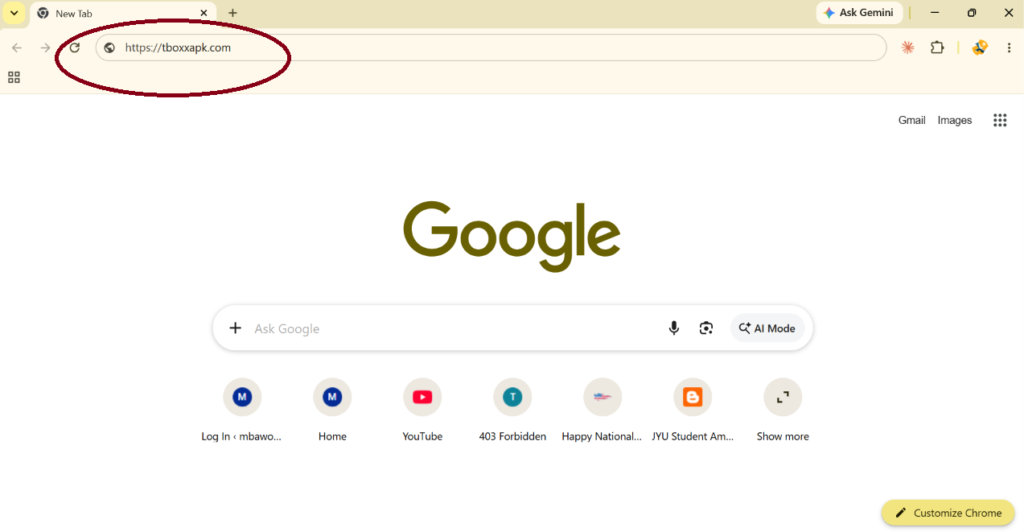Web browser address bar showing the TeraBox website URL entered before opening the cloud storage platform.