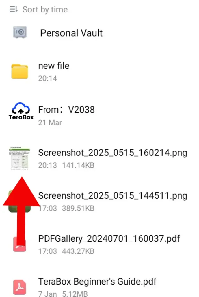 TeraBox file list showing an image file selected before uploading it to cloud storage.
