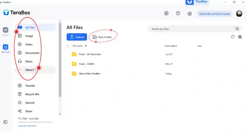 TeraBox dashboard showing file categories in the sidebar and the New Folder button for organizing cloud storage files.