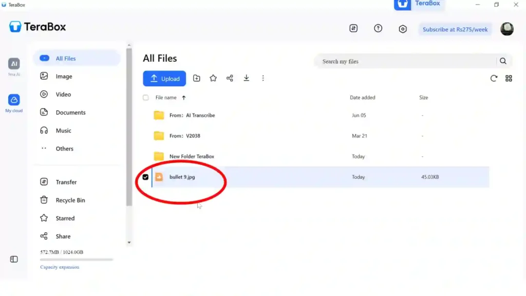 Uploaded file successfully displayed in the TeraBox file list after completing the upload process.