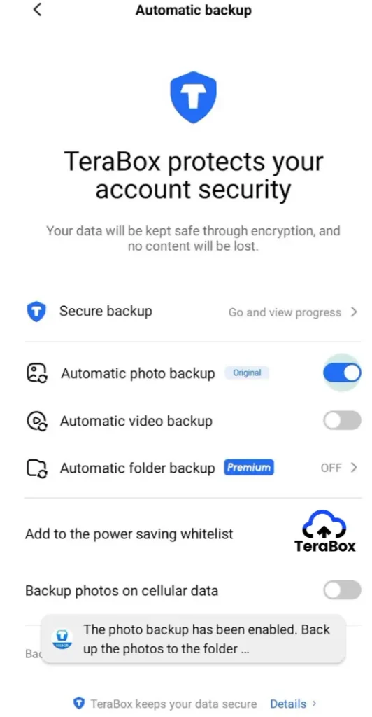 TeraBox automatic backup settings with Automatic Photo Backup enabled to back up photos to cloud storage automatically.