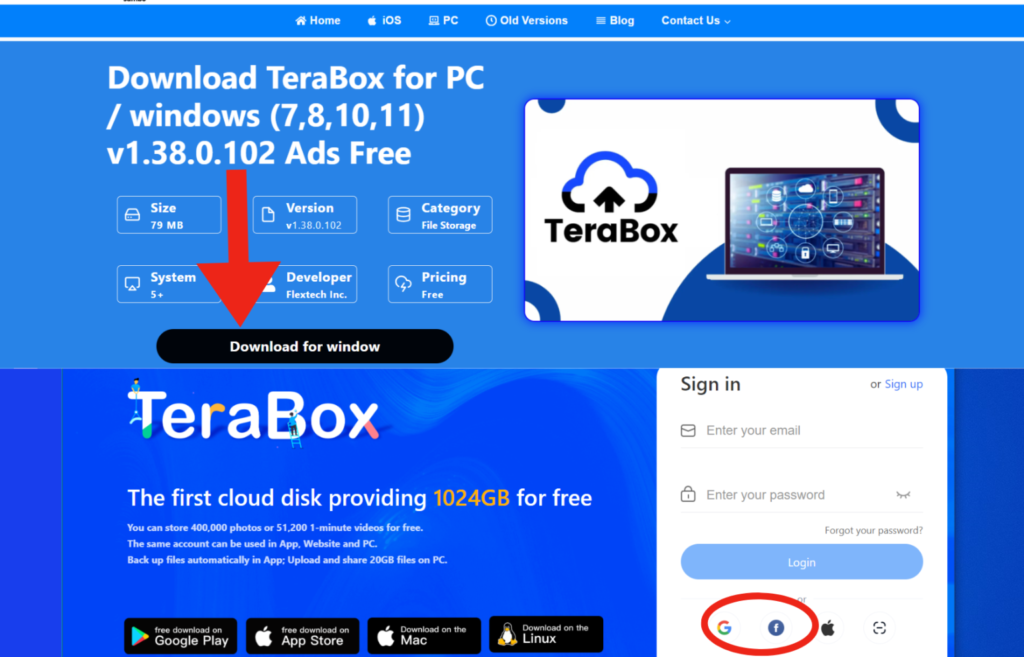 TeraBox download page showing the Windows download button and Google sign-in option highlighted.