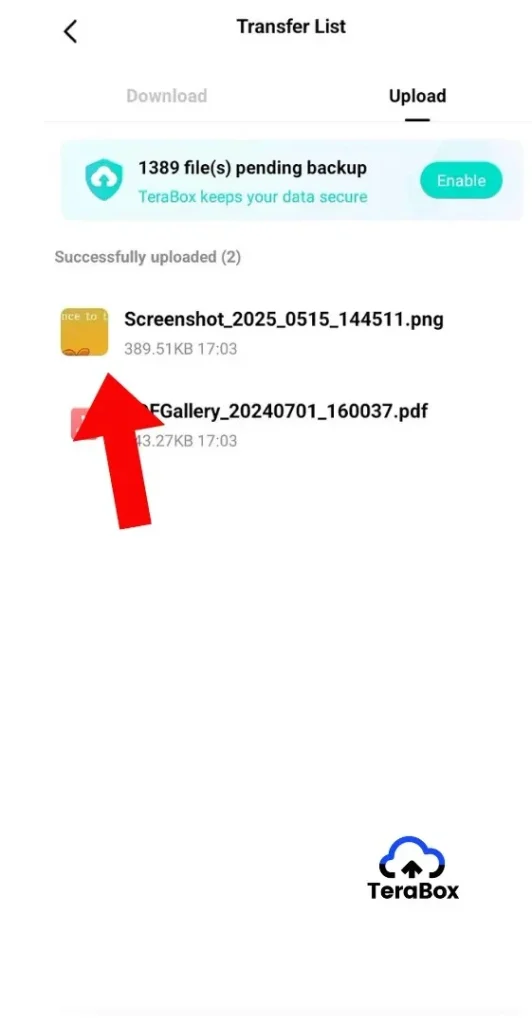 TeraBox transfer list showing files that have been uploaded successfully to cloud storage.